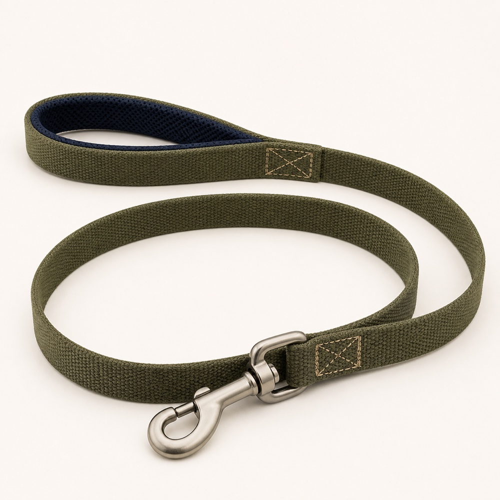 Canvas Everyday Lead