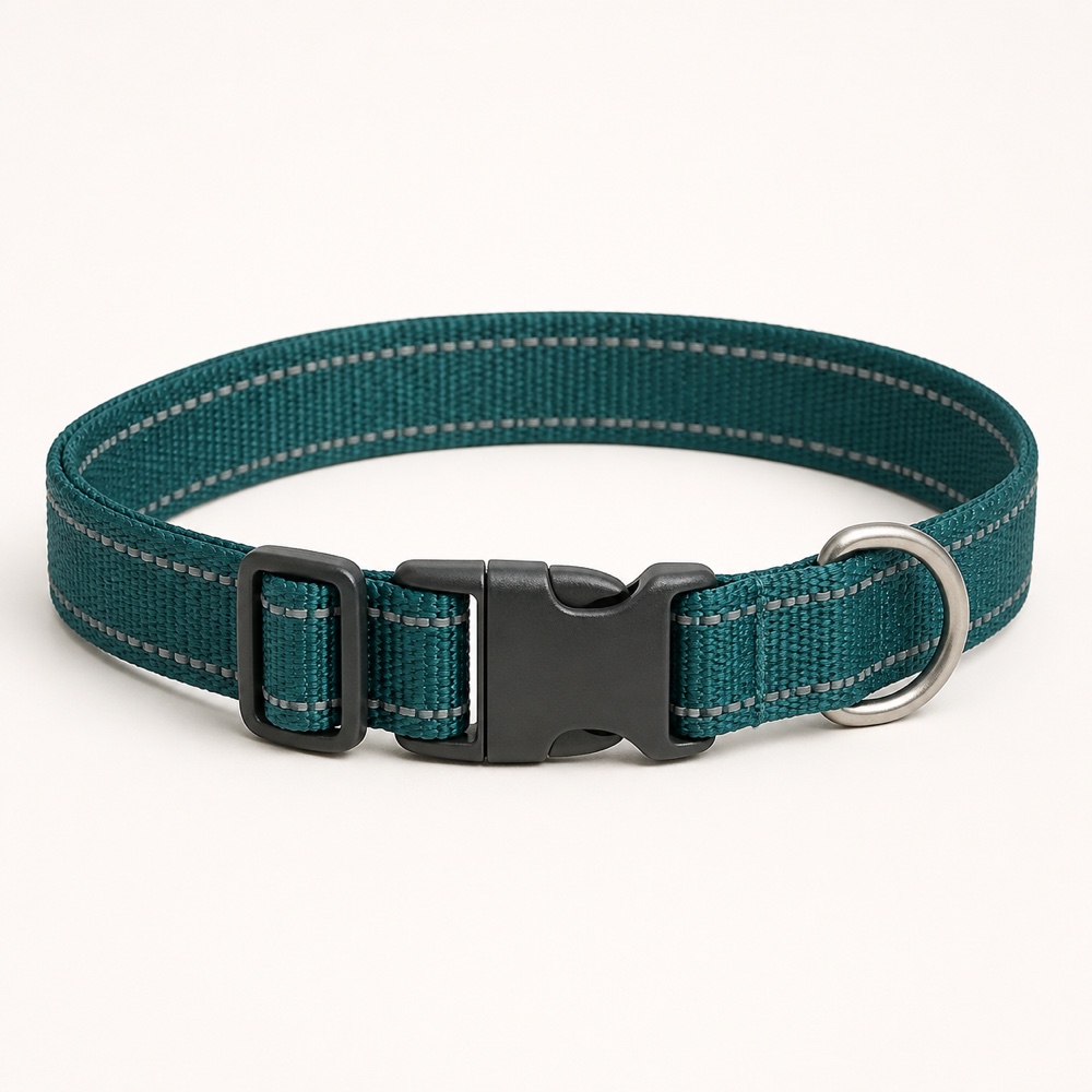 Reflective Everyday Collar