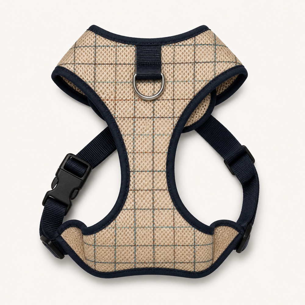 Windowpane Mesh Overhead Harness